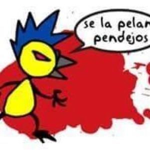 Meet your Posher, Guillermo